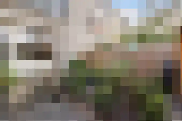 Groenoord 50 Alphen aan den Rijn thumbnail 31