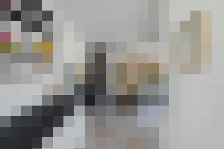 Groenoord 50 Alphen aan den Rijn thumbnail 33
