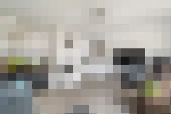Groenoord 50 Alphen aan den Rijn thumbnail 35