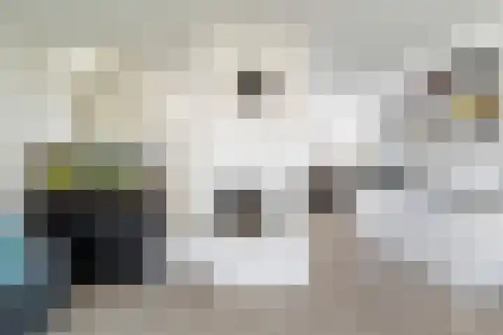 Groenoord 50 Alphen aan den Rijn thumbnail 37