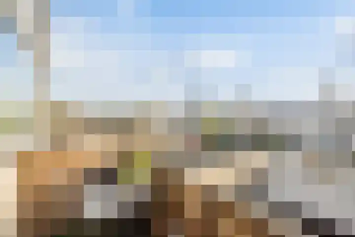 Groenoord 50 Alphen aan den Rijn thumbnail 45