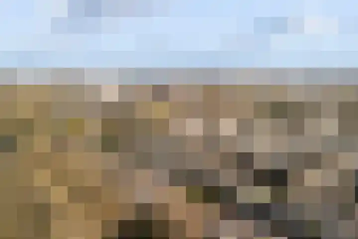 Groenoord 50 Alphen aan den Rijn thumbnail 64
