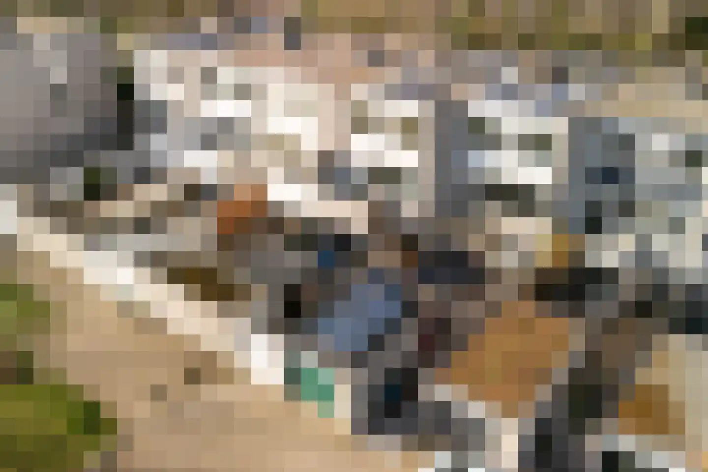 Groenoord 50 Alphen aan den Rijn thumbnail 74