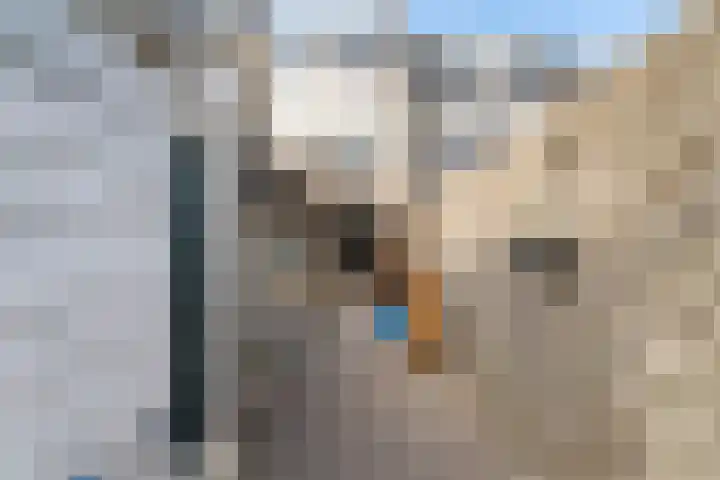 Groenoord 50 Alphen aan den Rijn thumbnail 8