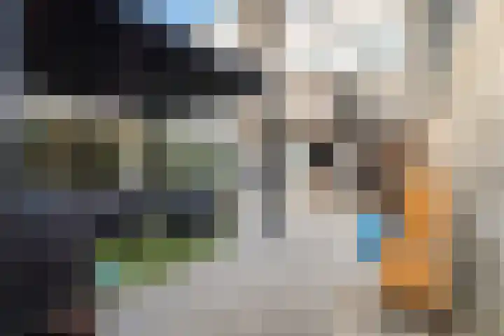 Groenoord 50 Alphen aan den Rijn thumbnail 9