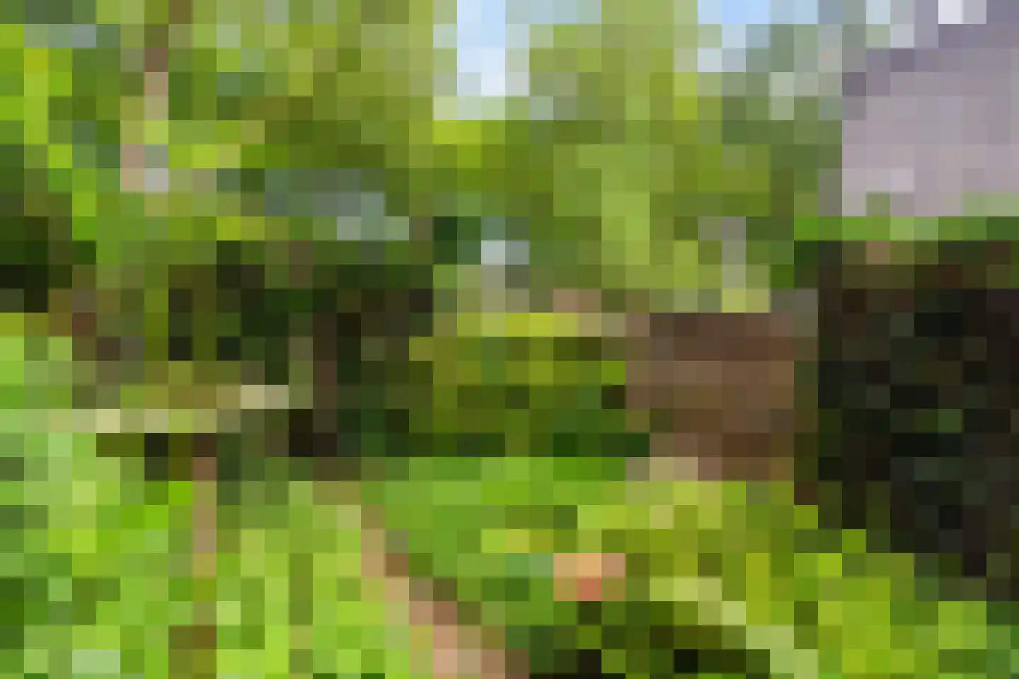 Groenoord 74 Alphen aan den Rijn thumbnail 19