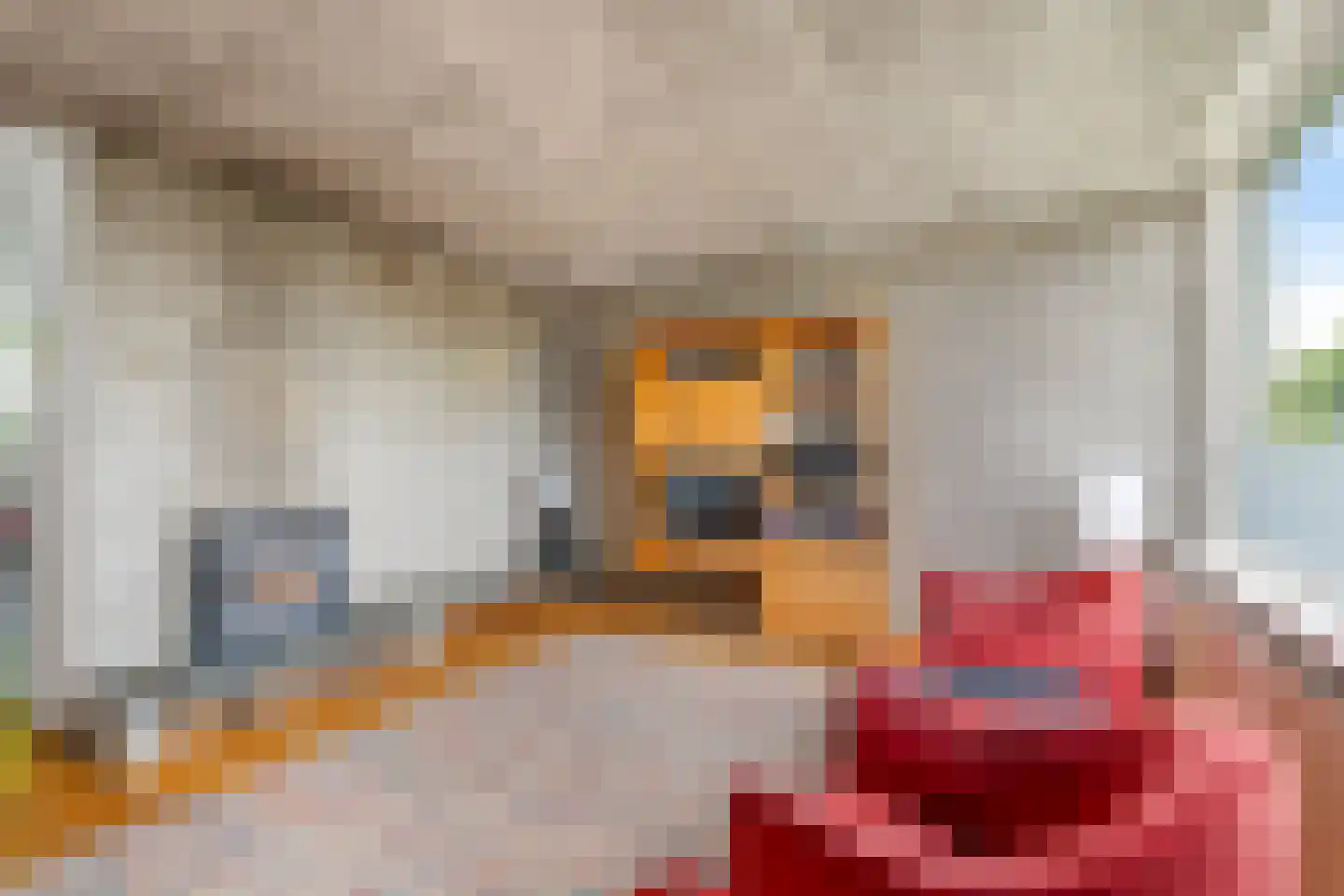 Groenoord 74 Alphen aan den Rijn thumbnail 24