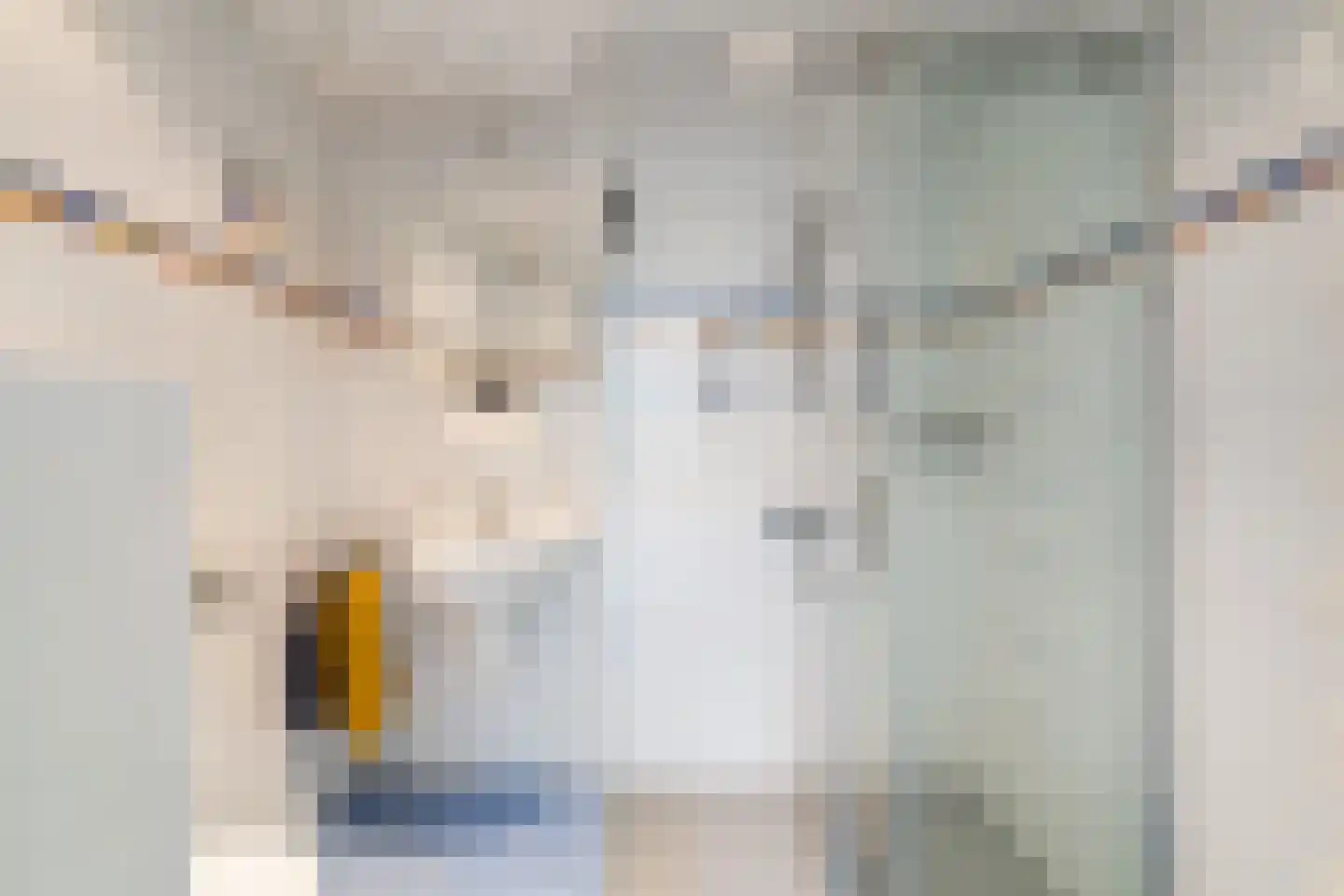 Groenoord 74 Alphen aan den Rijn thumbnail 44