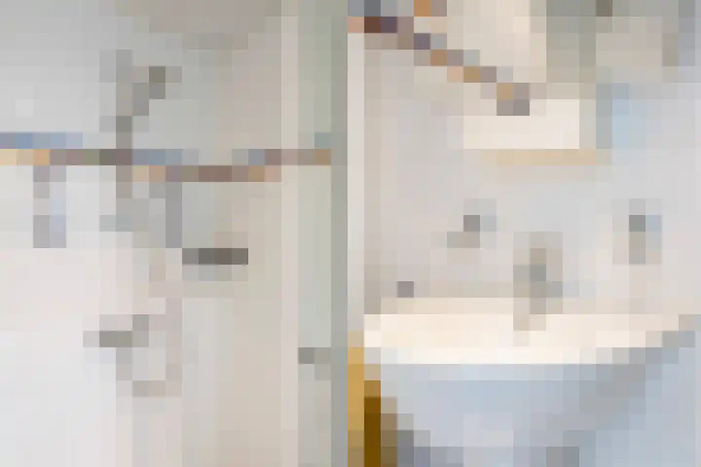 Groenoord 74 Alphen aan den Rijn thumbnail 45