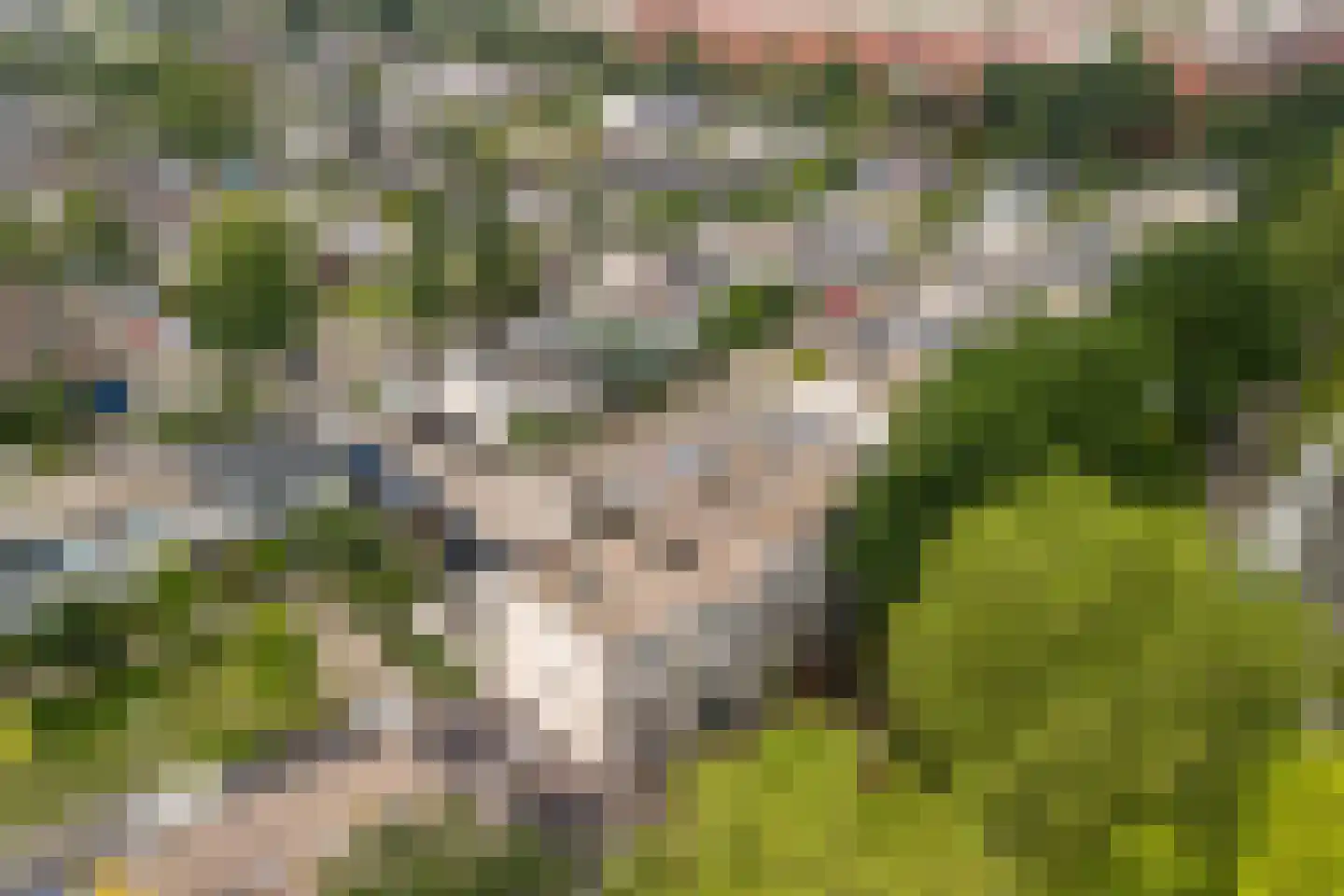 Groenoord 74 Alphen aan den Rijn thumbnail 5