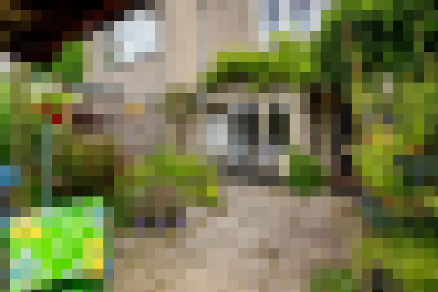 Groenoord 74 Alphen aan den Rijn thumbnail 9