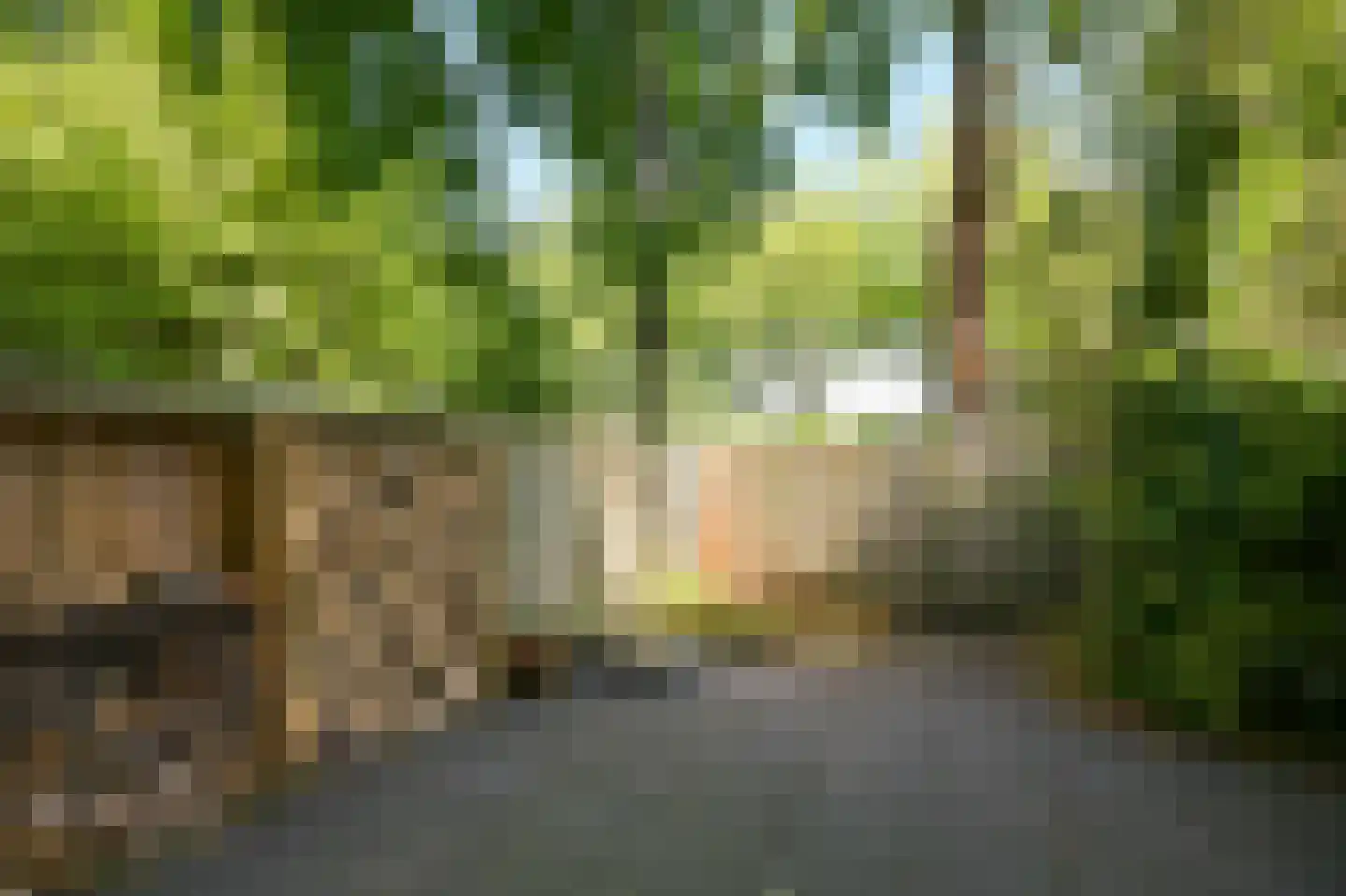 Groenoord 80 Alphen aan den Rijn thumbnail 5