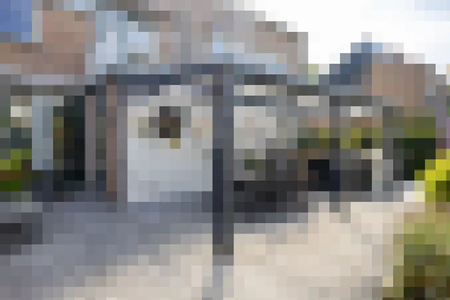 Groenoord 9 Alphen aan den Rijn thumbnail 26
