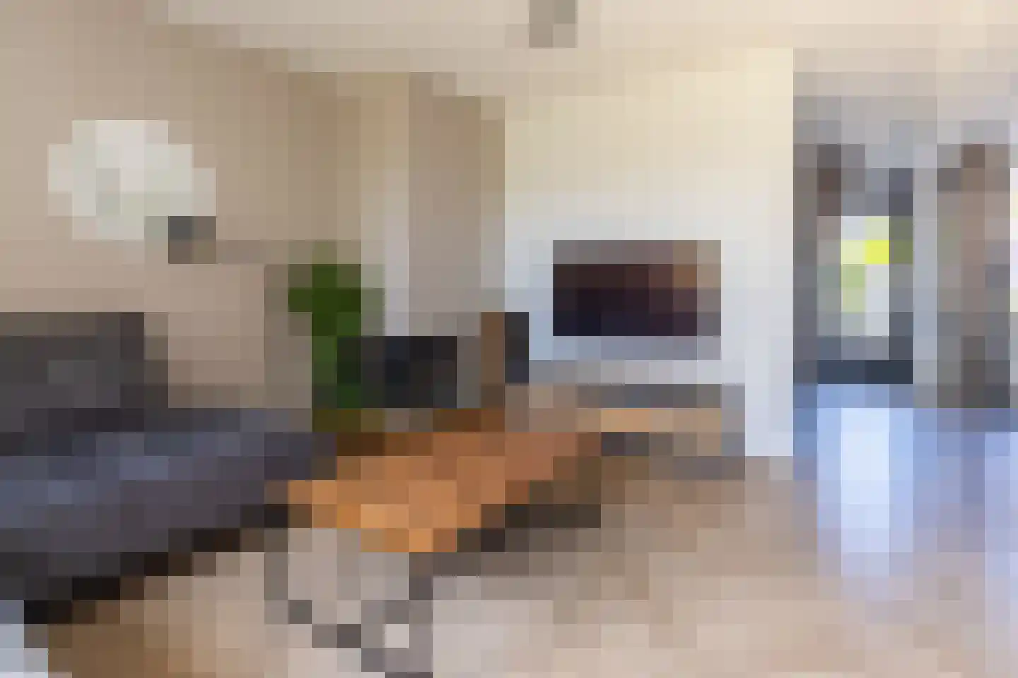 Groenoord 9 Alphen aan den Rijn thumbnail 4