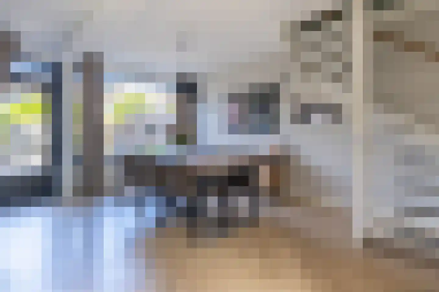 Groenoord 9 Alphen aan den Rijn thumbnail 5