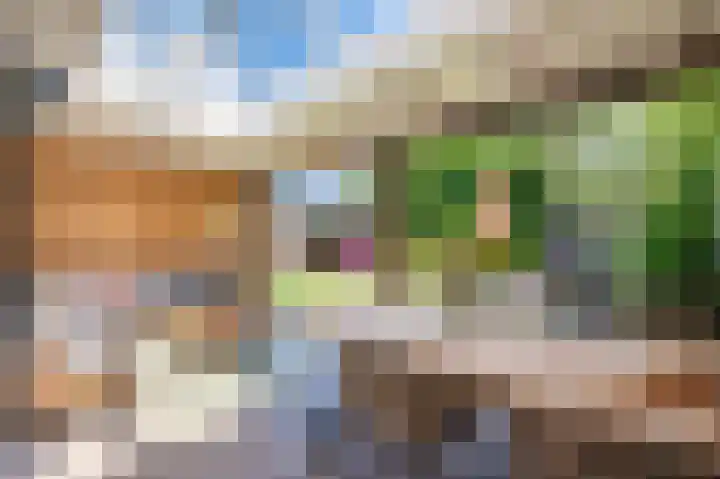 Groenoordlaan 34 Apeldoorn thumbnail 26