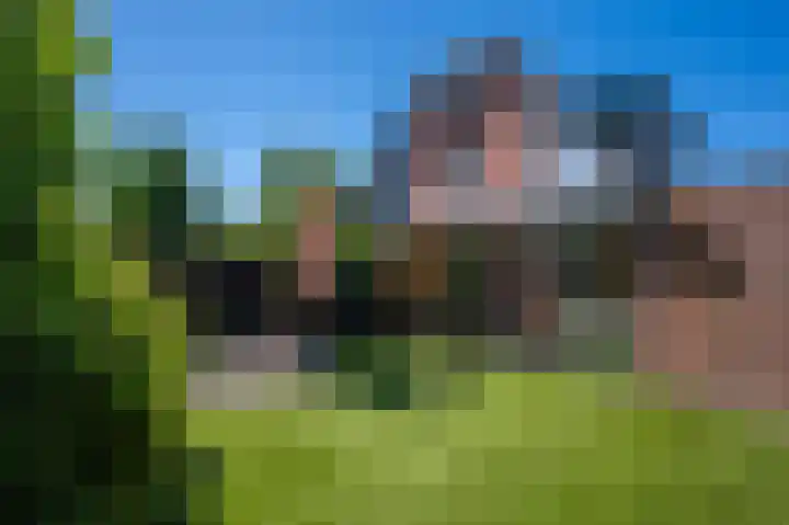 Groenoordlaan 34 Apeldoorn thumbnail 29