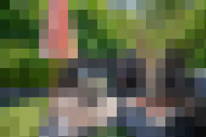 Groenoordlaan 34 Apeldoorn thumbnail 32
