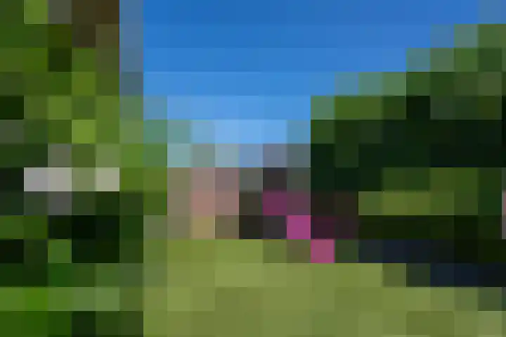 Groenoordlaan 34 Apeldoorn thumbnail 33
