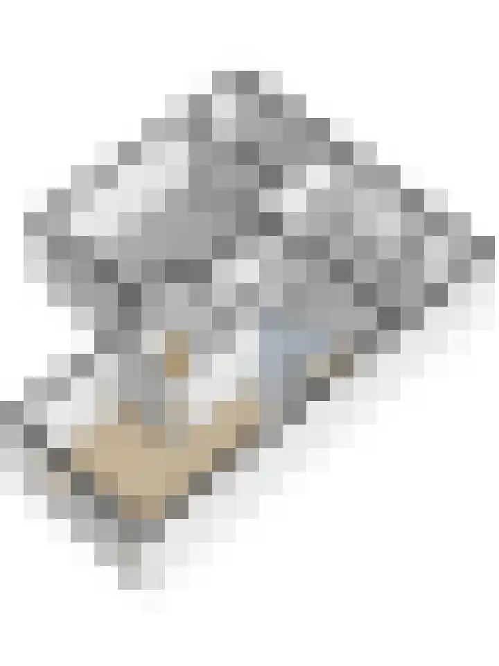 Groenoordlaan 34 Apeldoorn thumbnail 37