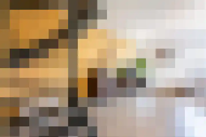 Groenoordlaan 34 Apeldoorn thumbnail 7