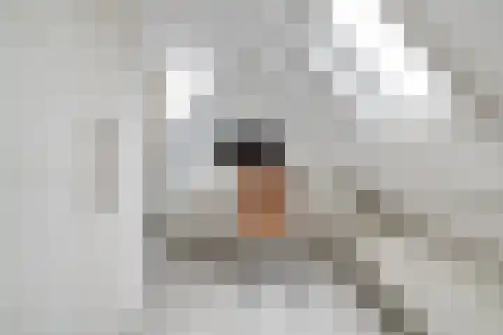Groenoordlaan 35 Apeldoorn thumbnail 26