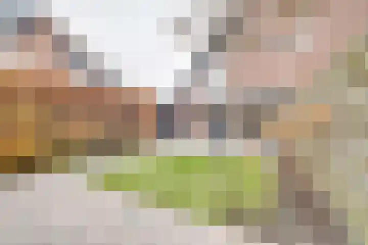 Groenoordlaan 35 Apeldoorn thumbnail 29