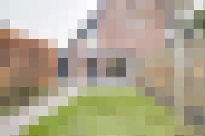 Groenoordlaan 35 Apeldoorn thumbnail 31