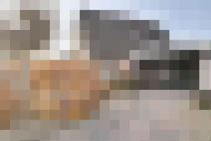 Groenoordlaan 35 Apeldoorn thumbnail 33