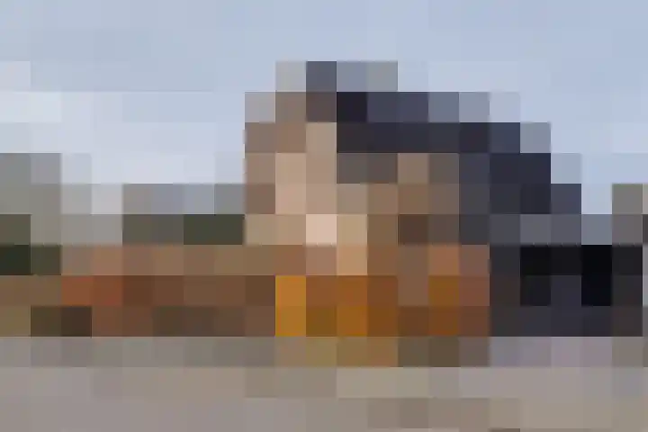 Groenoordlaan 35 Apeldoorn thumbnail 35