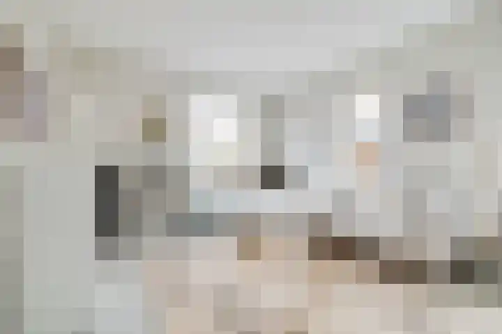 Groenoordlaan 35 Apeldoorn thumbnail 4