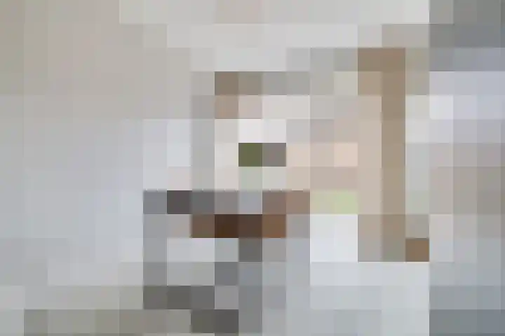 Groenoordlaan 35 Apeldoorn thumbnail 8