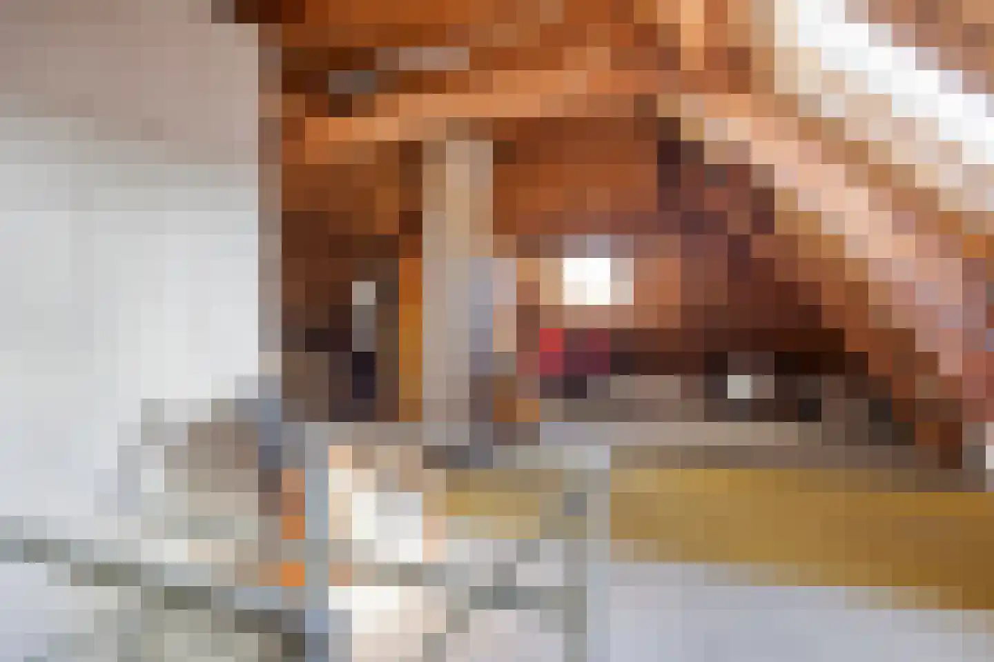Groenoordlaan 6 Apeldoorn thumbnail 30