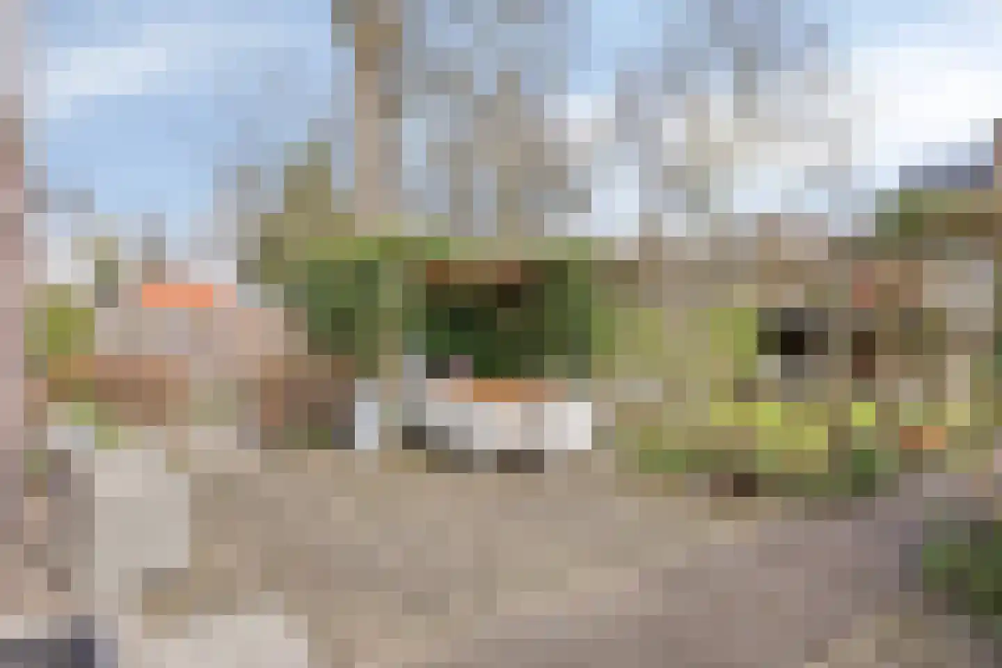 Groenoordlaan 6 Apeldoorn thumbnail 35