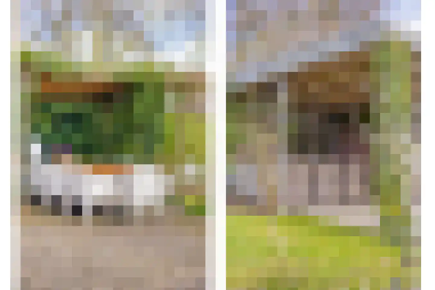 Groenoordlaan 6 Apeldoorn thumbnail 36