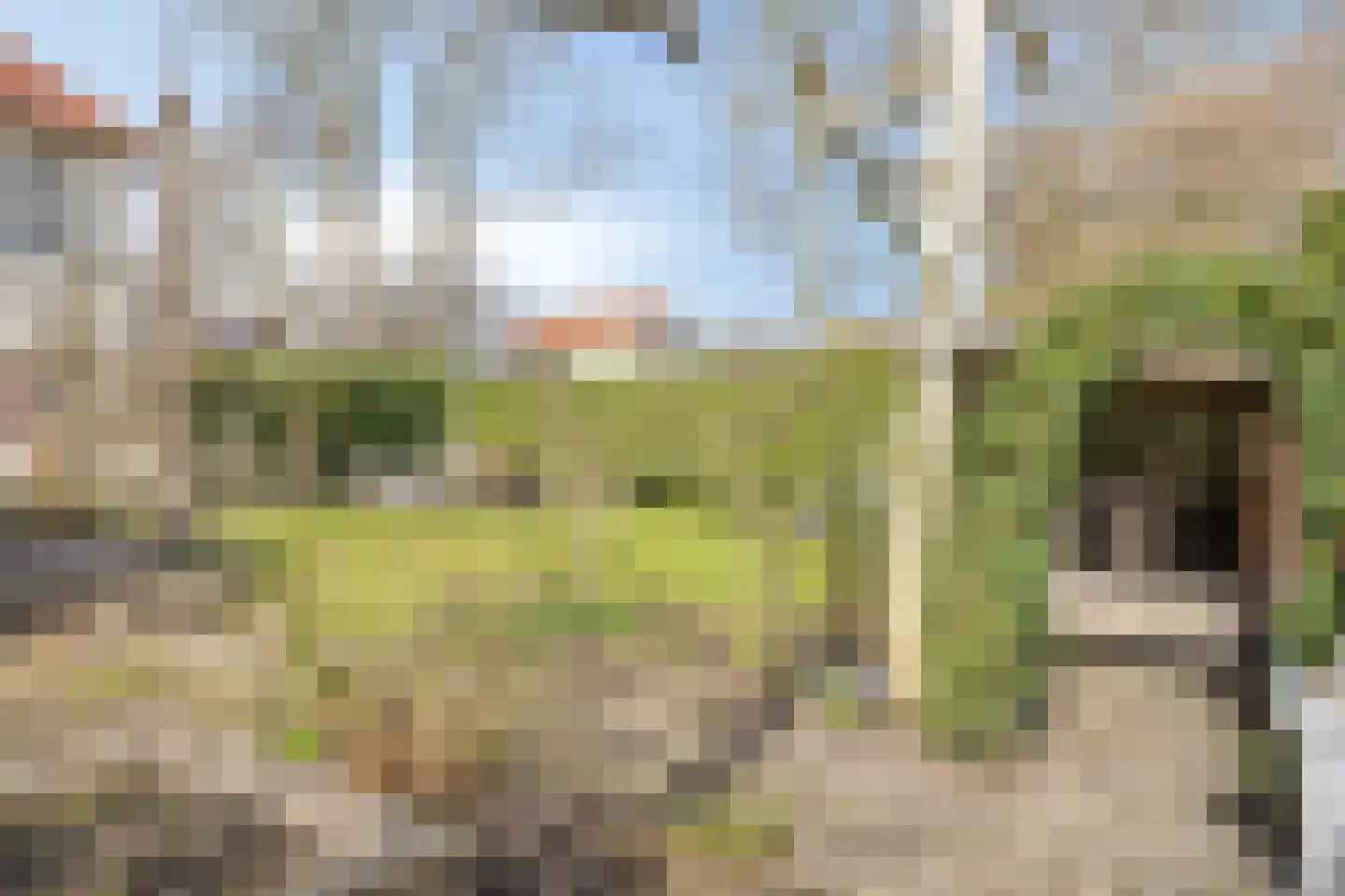 Groenoordlaan 6 Apeldoorn thumbnail 42