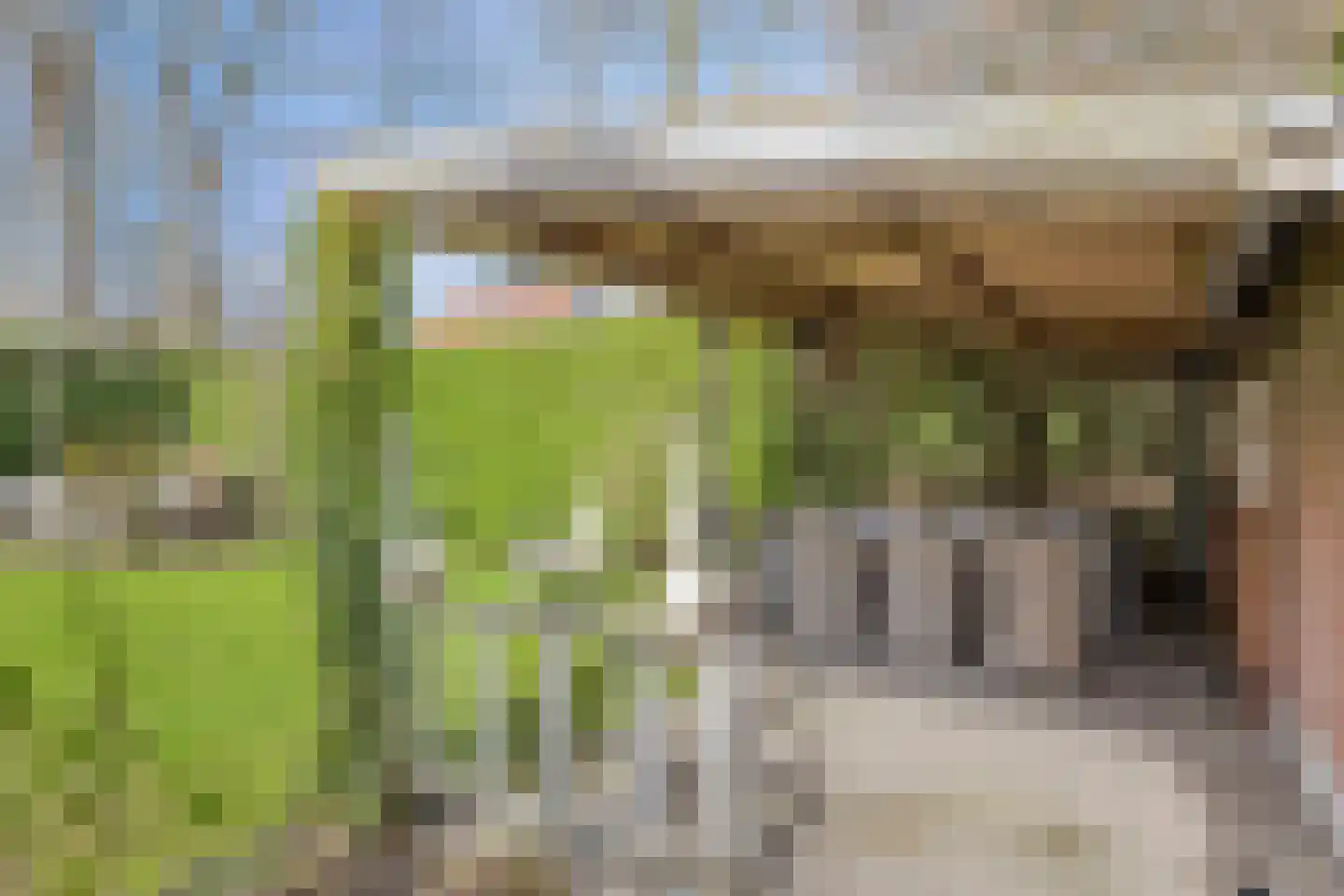 Groenoordlaan 6 Apeldoorn thumbnail 43