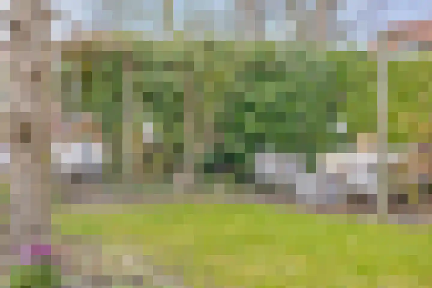 Groenoordlaan 6 Apeldoorn thumbnail 46