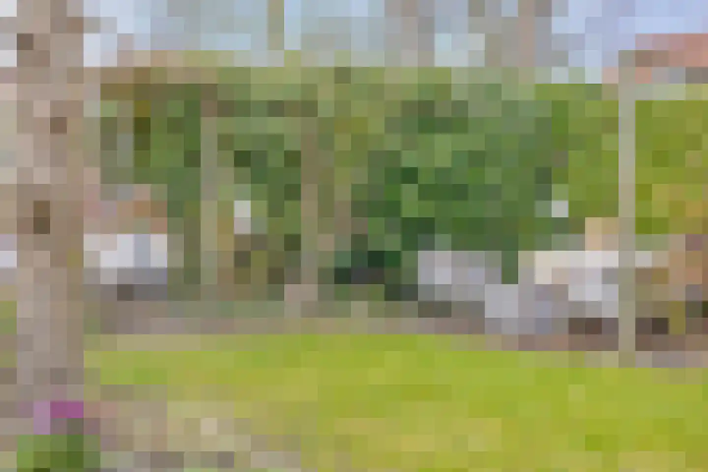 Groenoordlaan 6 Apeldoorn thumbnail 46