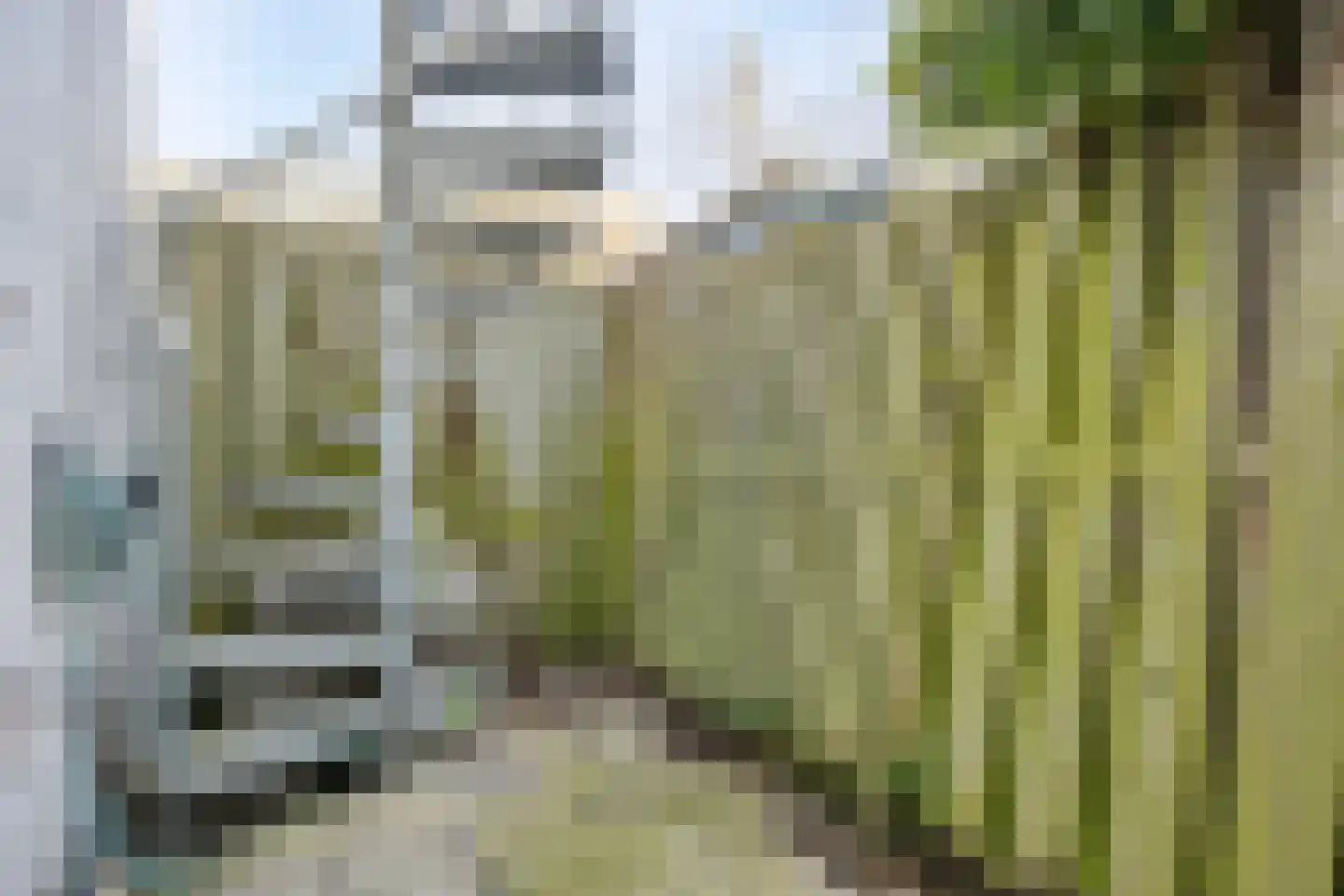 Groenoordstraat 16 Leiden thumbnail 25