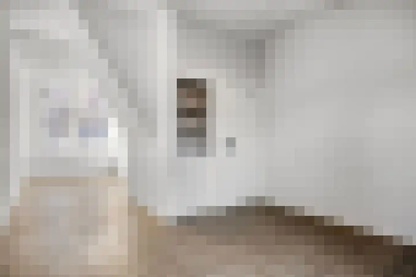 Groenoordstraat 16 Leiden thumbnail 5