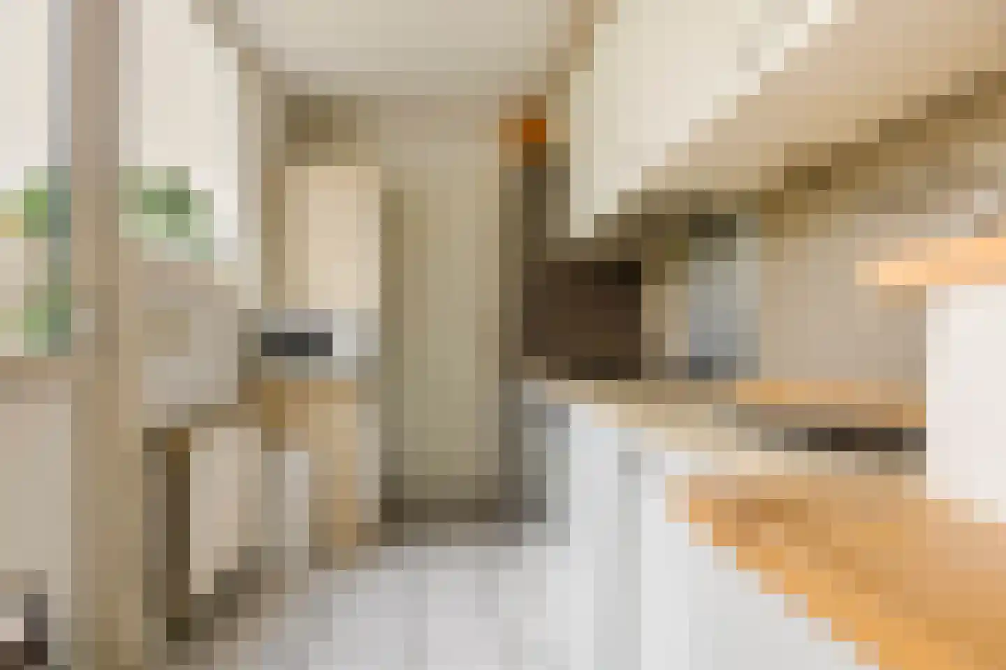 Groenoordstraat 18 Leiden thumbnail 11