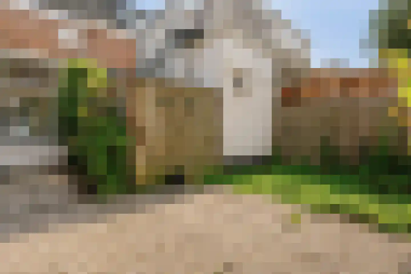 Groenoordstraat 18 Leiden thumbnail 16