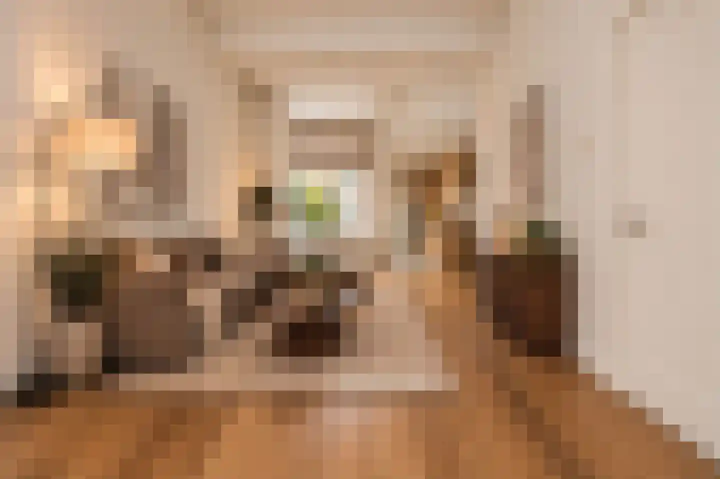 Groenoordstraat 18 Leiden thumbnail 8