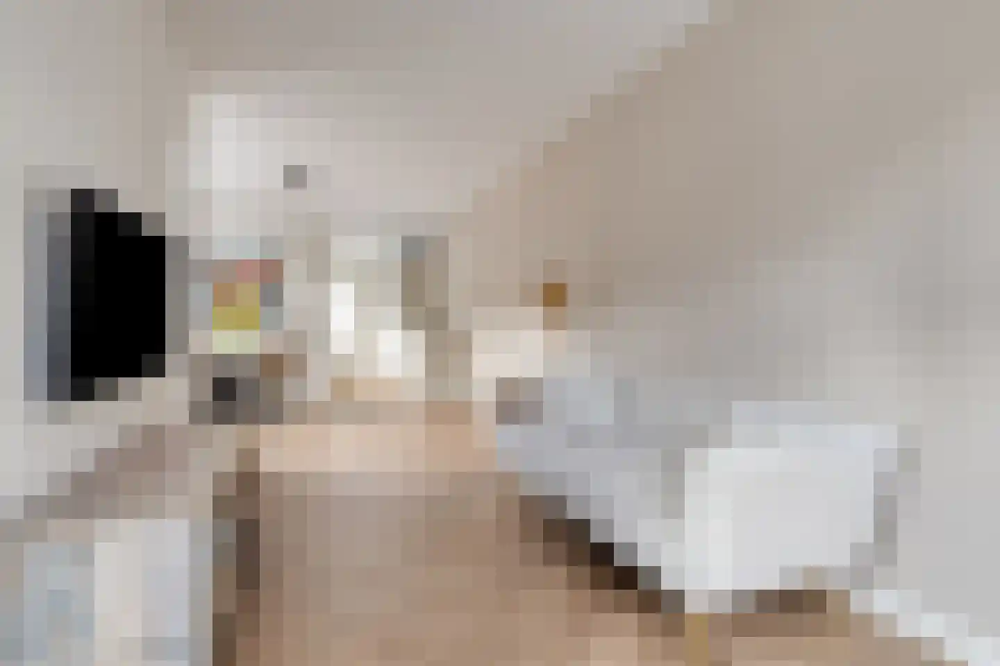 Groenoordstraat 19 Leiden thumbnail 4