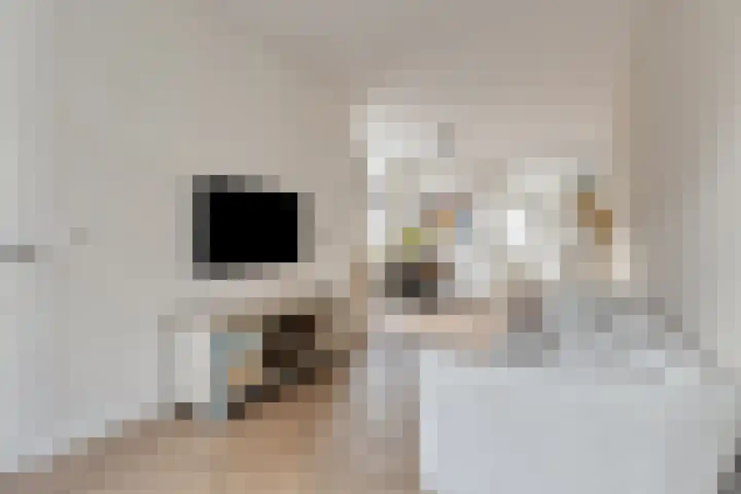 Groenoordstraat 19 Leiden thumbnail 5