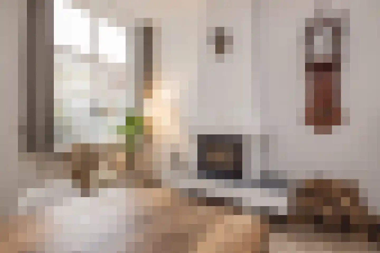 Groenoordstraat 8 Leiden thumbnail 11