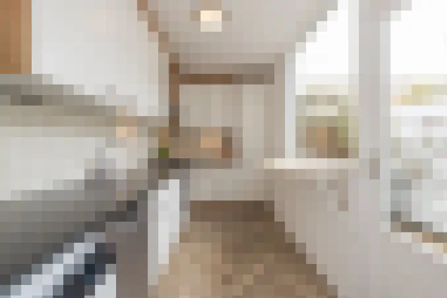 Groenoordstraat 8 Leiden thumbnail 17