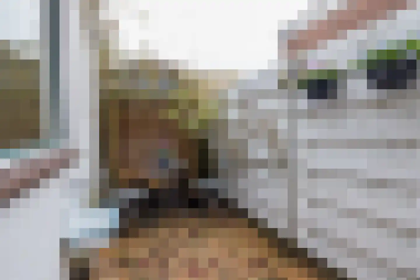 Groenoordstraat 8 Leiden thumbnail 21