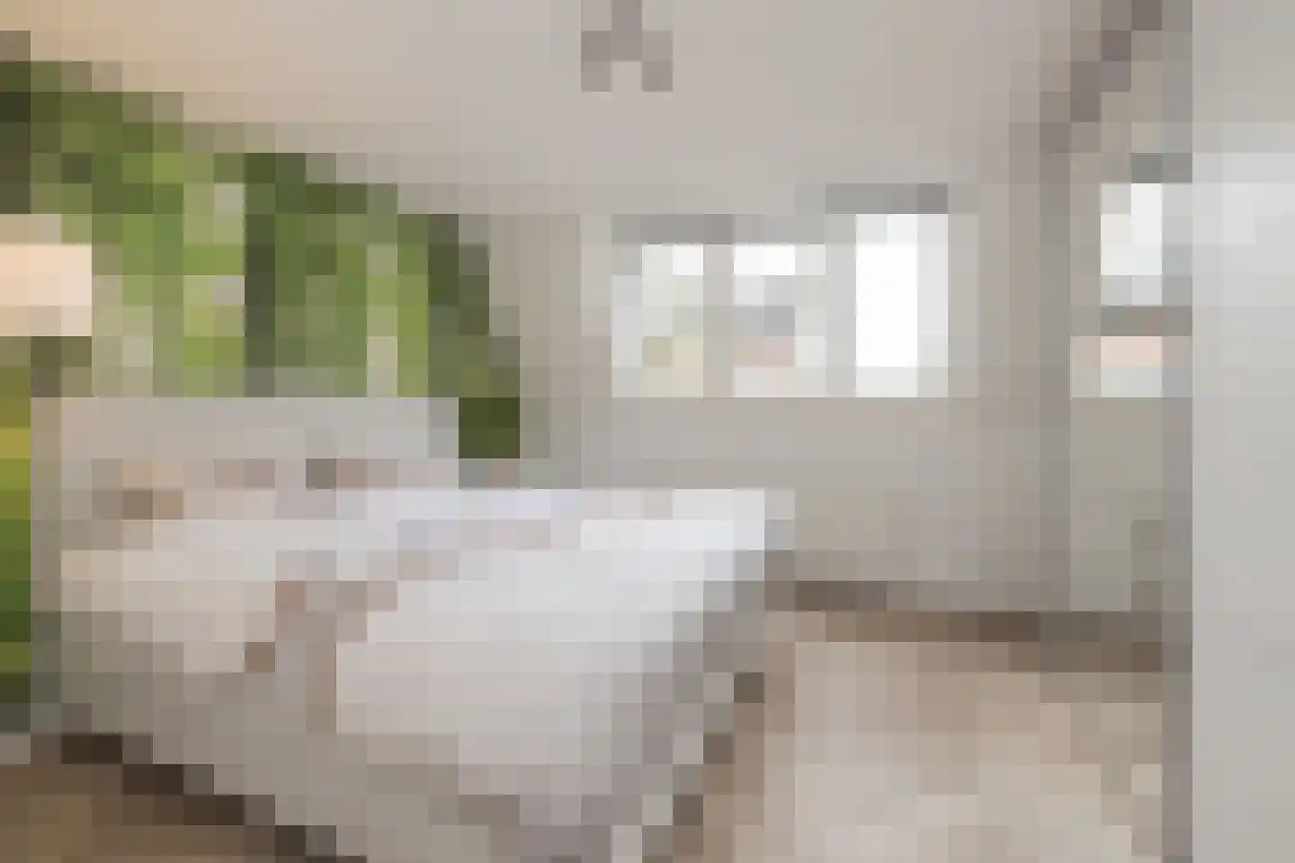 Groenoordstraat 8 Leiden thumbnail 34